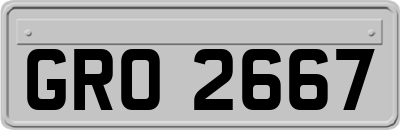 GRO2667