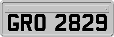 GRO2829