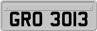 GRO3013