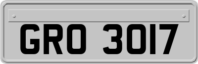 GRO3017