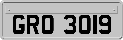 GRO3019