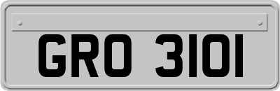 GRO3101