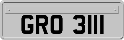 GRO3111