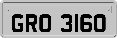 GRO3160