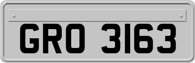 GRO3163