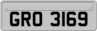 GRO3169