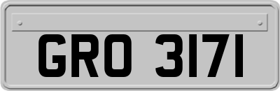 GRO3171