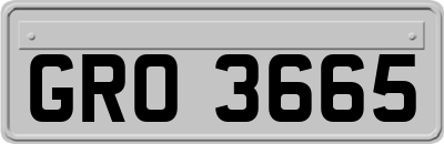 GRO3665