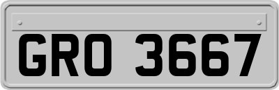 GRO3667