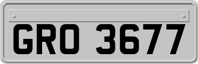 GRO3677