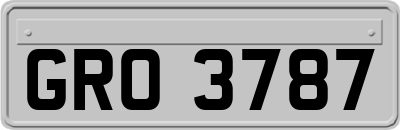 GRO3787