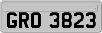 GRO3823