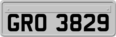 GRO3829