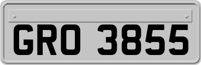 GRO3855