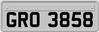 GRO3858