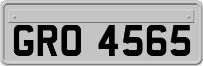 GRO4565