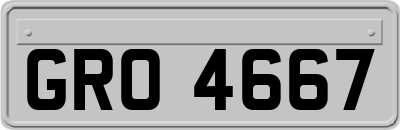 GRO4667