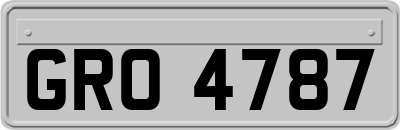 GRO4787