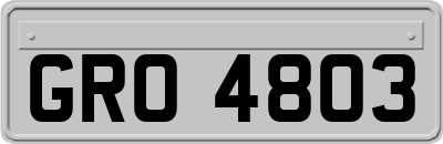 GRO4803