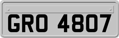 GRO4807