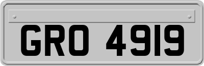 GRO4919