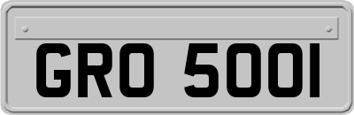 GRO5001