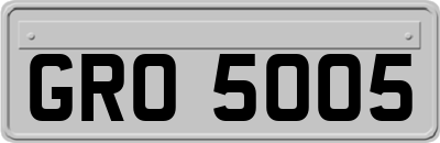 GRO5005