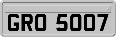 GRO5007
