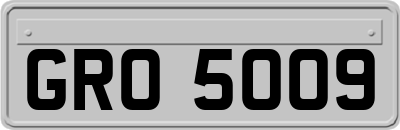 GRO5009