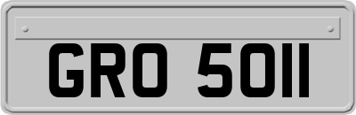 GRO5011