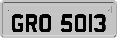 GRO5013