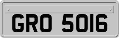 GRO5016