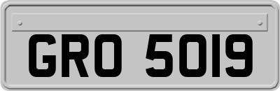 GRO5019
