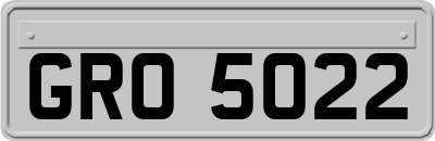 GRO5022