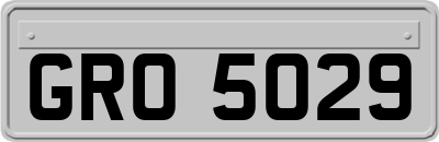 GRO5029