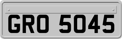 GRO5045