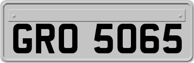GRO5065