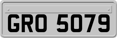 GRO5079