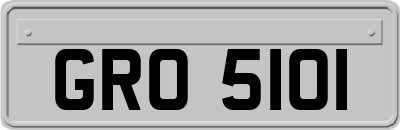 GRO5101