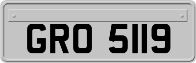 GRO5119