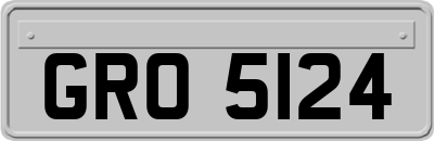 GRO5124