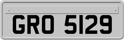 GRO5129