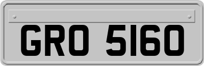 GRO5160