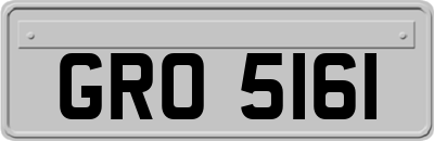 GRO5161