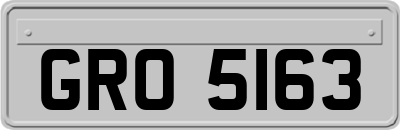 GRO5163