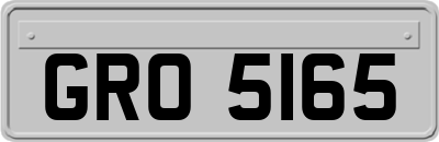 GRO5165