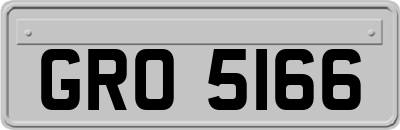 GRO5166