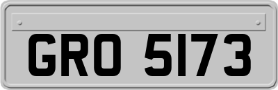 GRO5173
