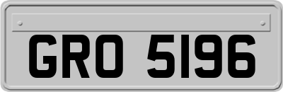 GRO5196