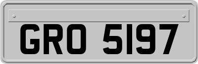GRO5197
